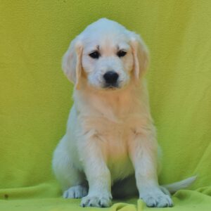 Milo