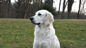 04 DSC_0610