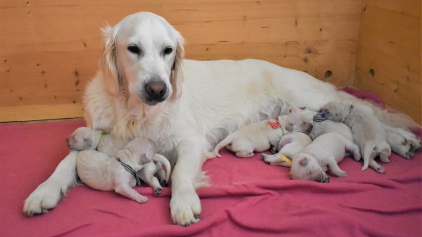 DSC_0345_bearbeitet DSC_0345_bearbeitet