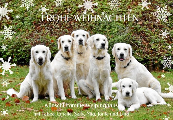 Weihnachten 1